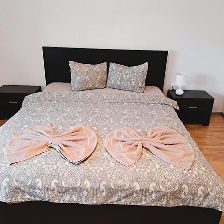 Penthouse Daniela - 3 Rooms In A Spacious Central Apartment Targu Mures Luaran gambar