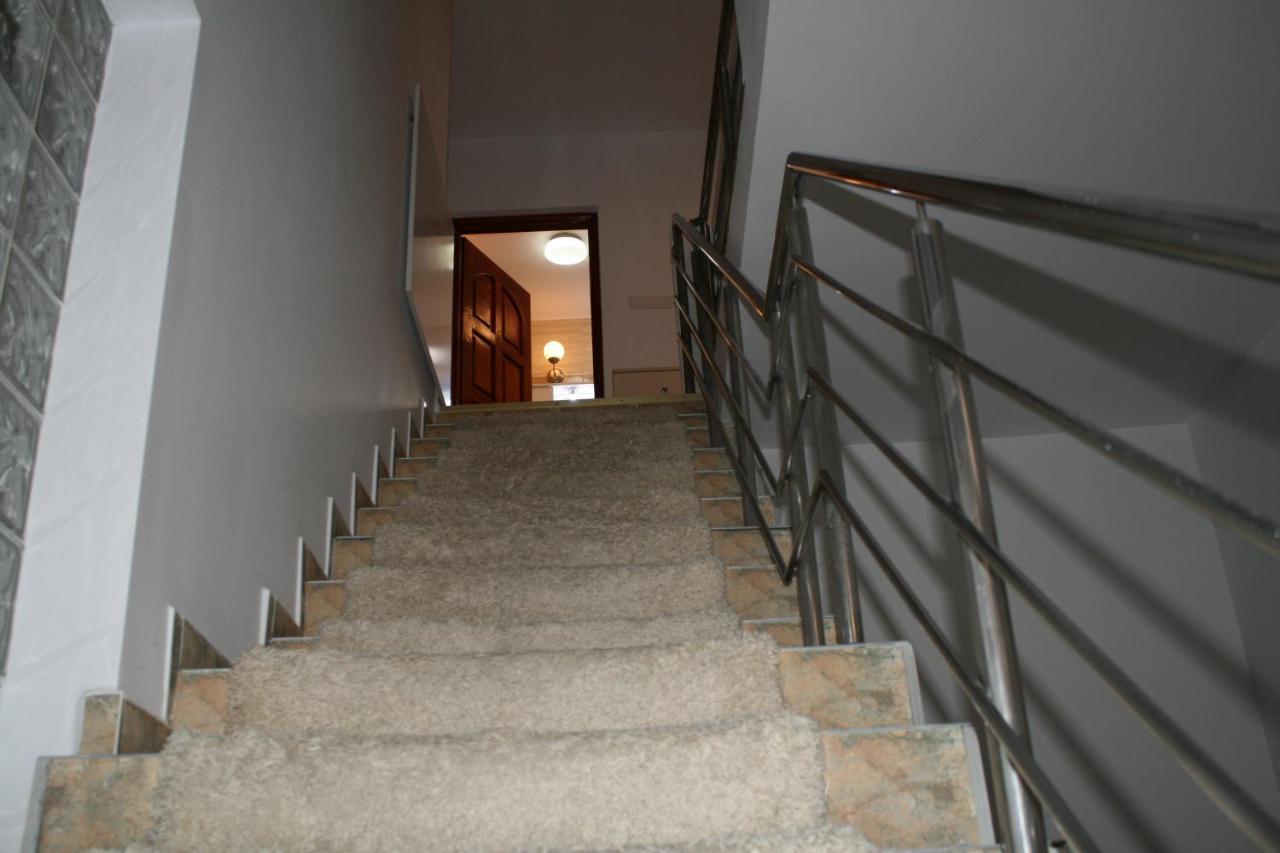 Penthouse Daniela - 3 Rooms In A Spacious Central Apartment Targu Mures Luaran gambar