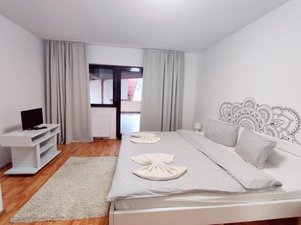 Penthouse Daniela - 3 Rooms In A Spacious Central Apartment Targu Mures Luaran gambar