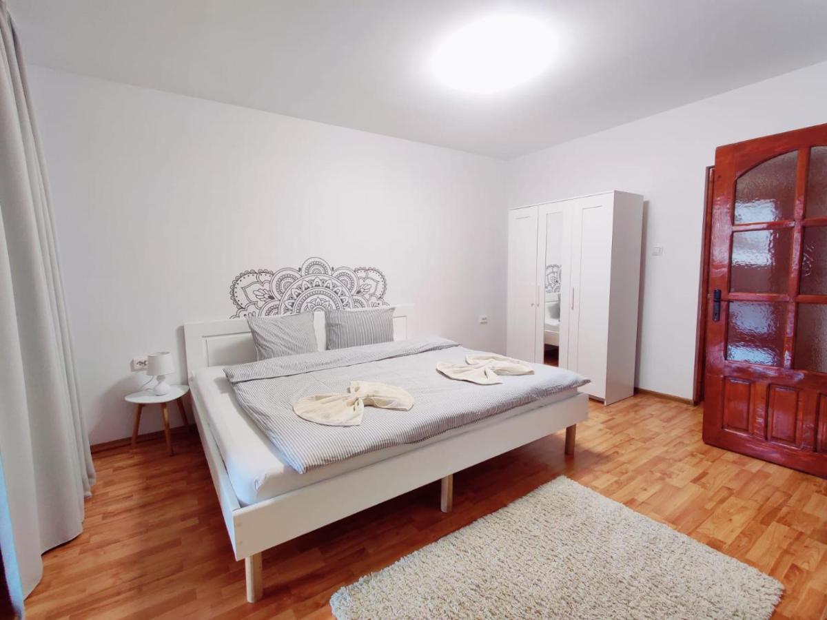 Penthouse Daniela - 3 Rooms In A Spacious Central Apartment Targu Mures Luaran gambar