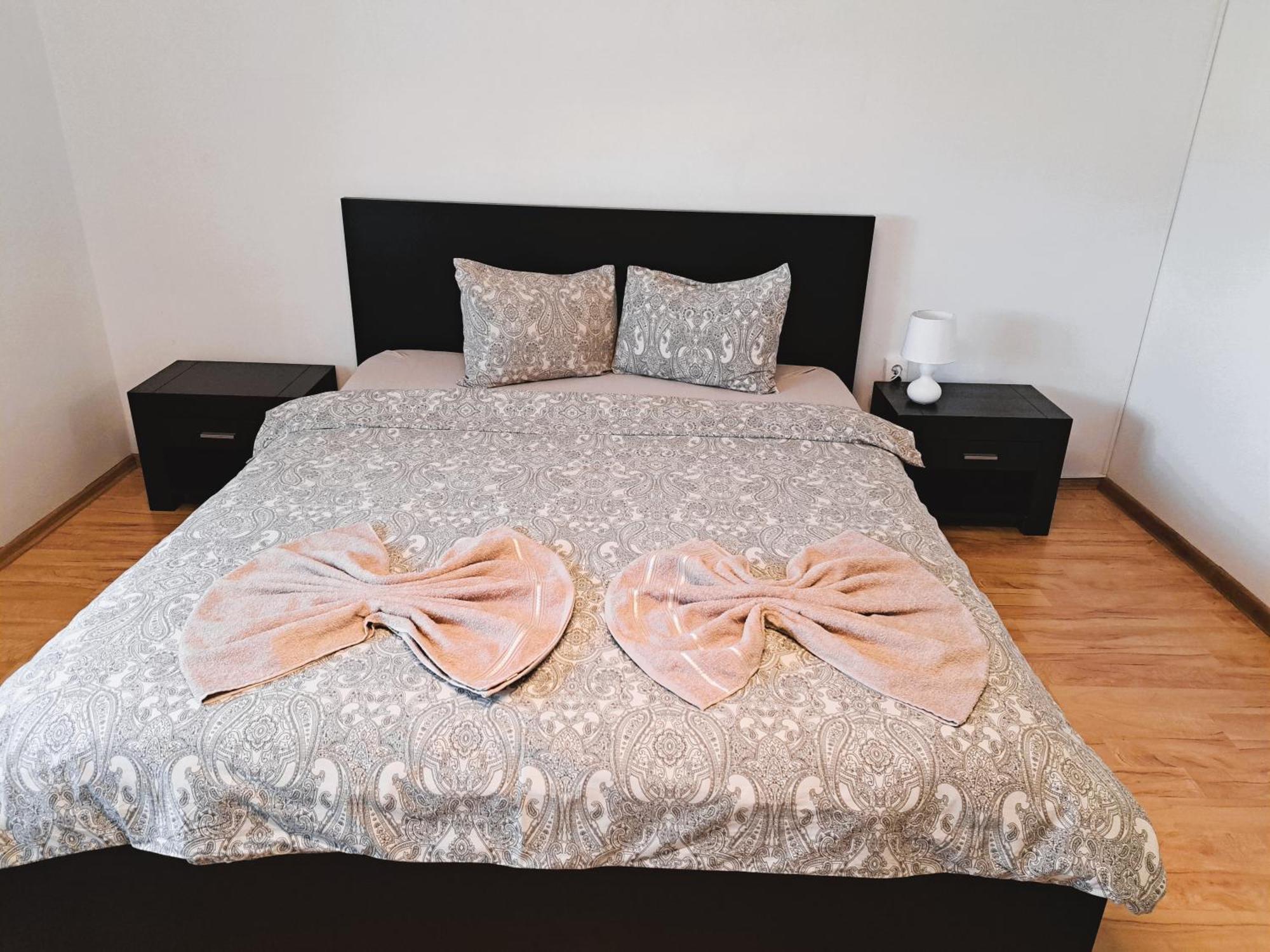 Penthouse Daniela - 3 Rooms In A Spacious Central Apartment Targu Mures Luaran gambar