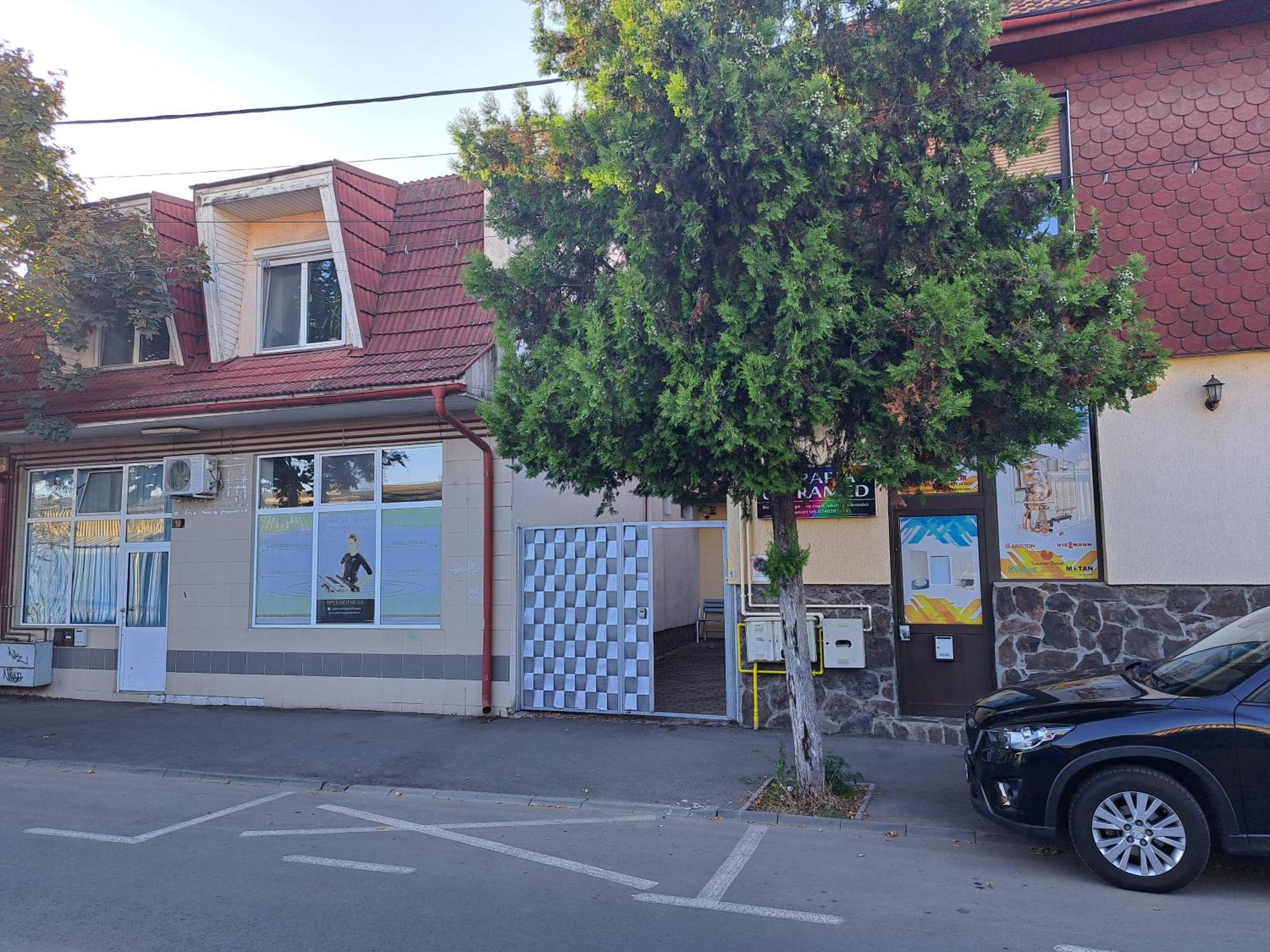 Penthouse Daniela - 3 Rooms In A Spacious Central Apartment Targu Mures Luaran gambar